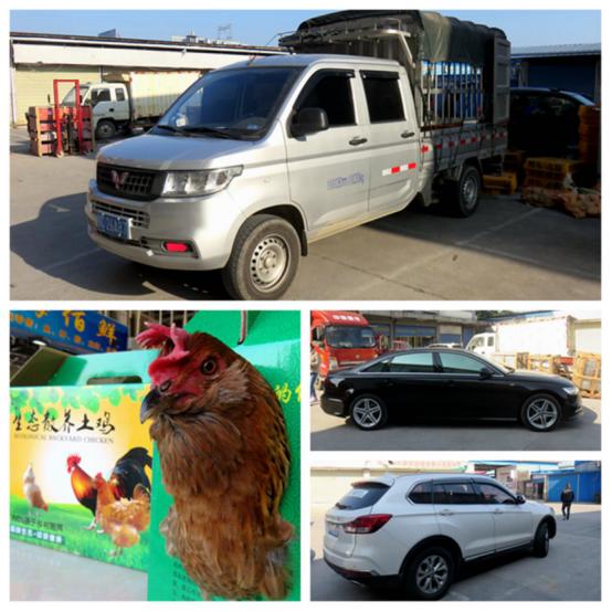 龙胜凤鸡竟“飞”入海鲜市场,“高规格”背后大有文章