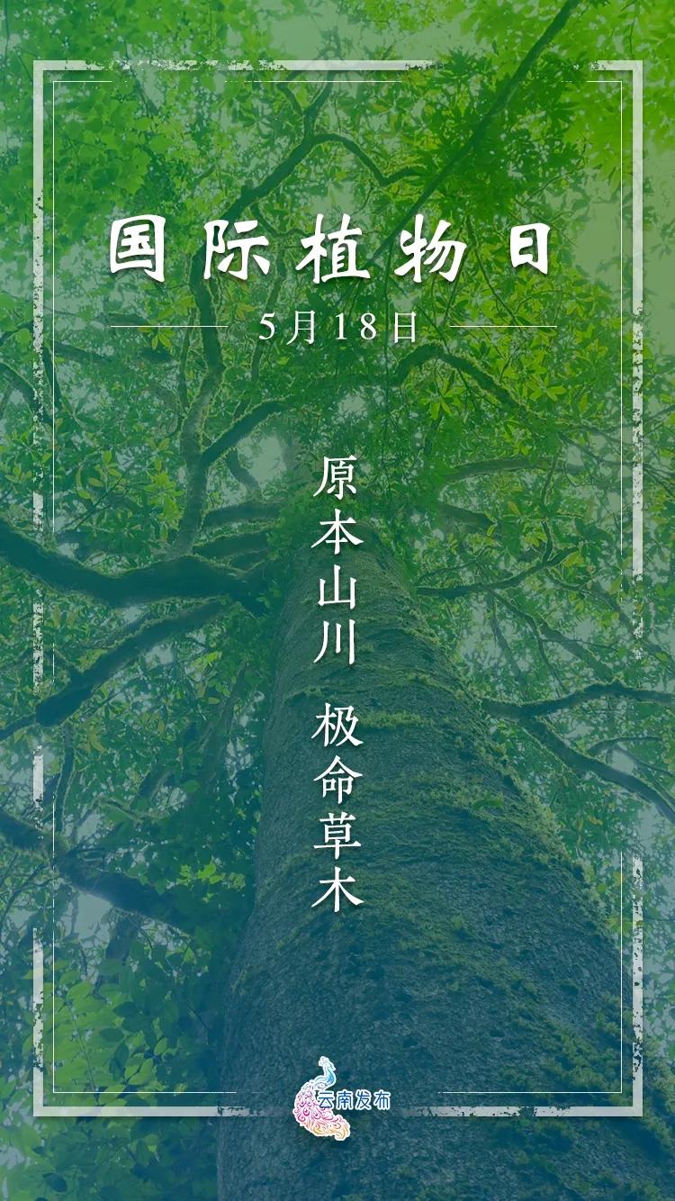 生物物种多样性,生物多样性为何如此丰富