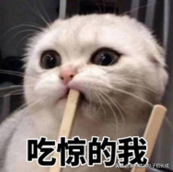 对猫咪过敏但是又想养猫怎么办,对猫过敏的人也可以养的猫