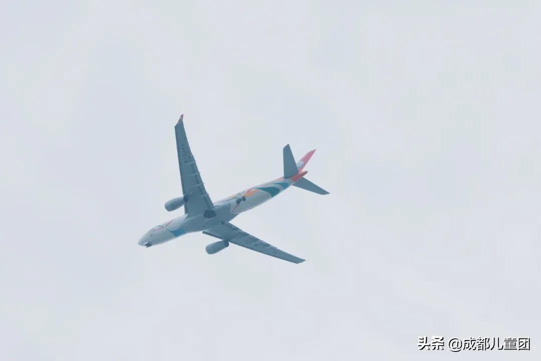 双流空港体育公园看飞机攻略,周末去空港花田