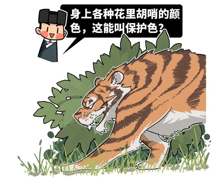 猩猩为什么战胜人类,人类与猩猩的祖先是一样的吗