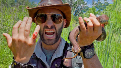 野外蛇视频真实动物世界,丛林探险遇到巨大蛇