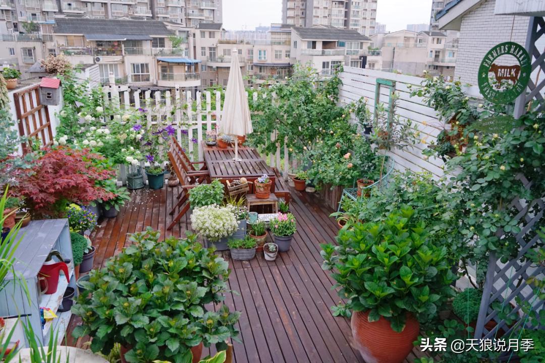 如何打造四季开花的花园,如何打造四季都有花的花园