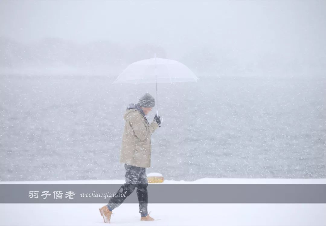 日本10天自由行费用北海道,东京北海道5日自由行攻略