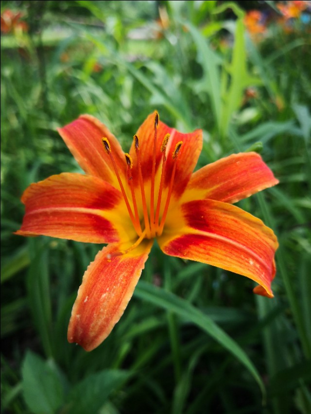 不抱怨的心态读后感,不怀疑不抱怨的读后感