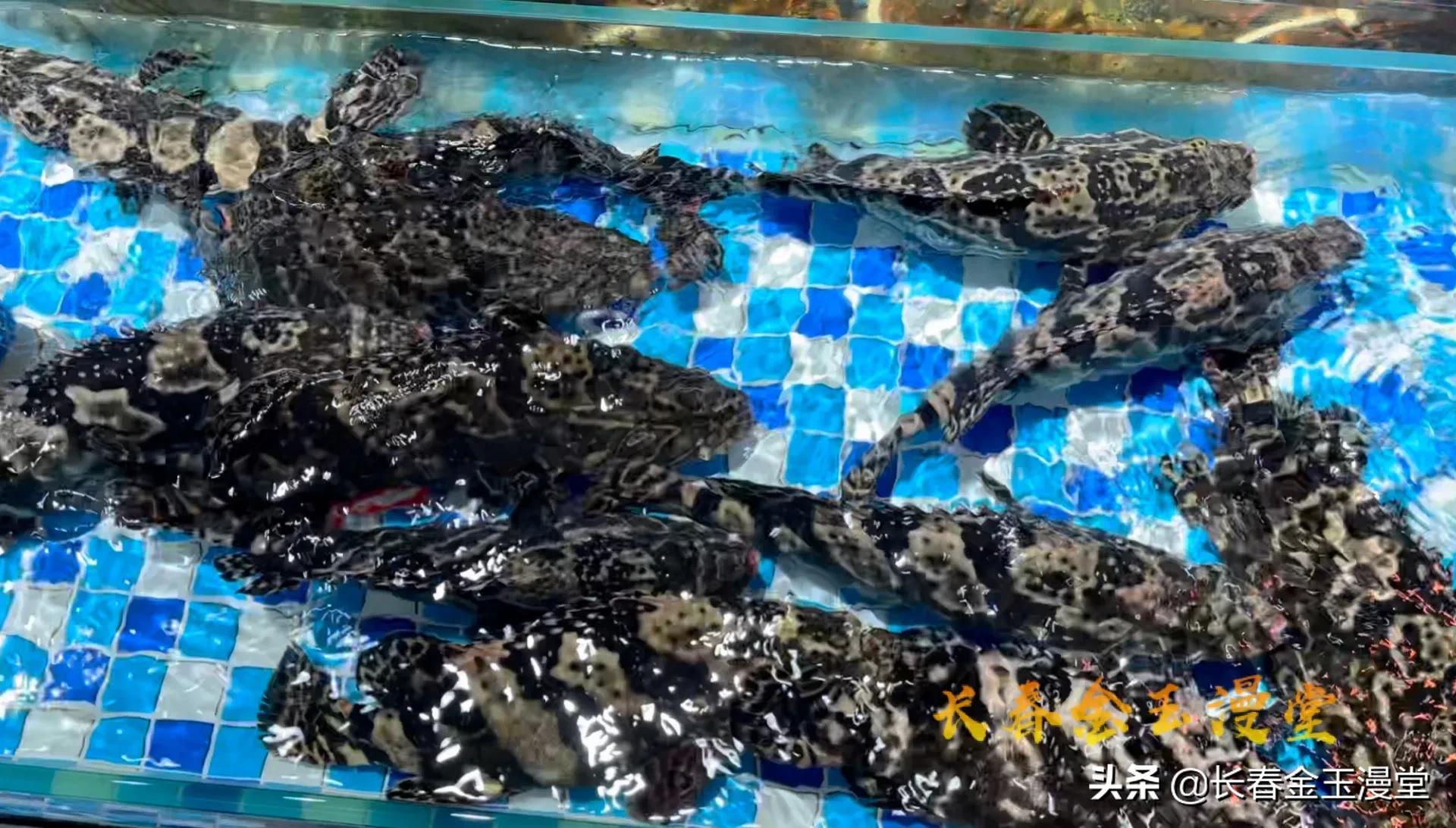 2022长春年货大集,2020长春年货展销会在哪