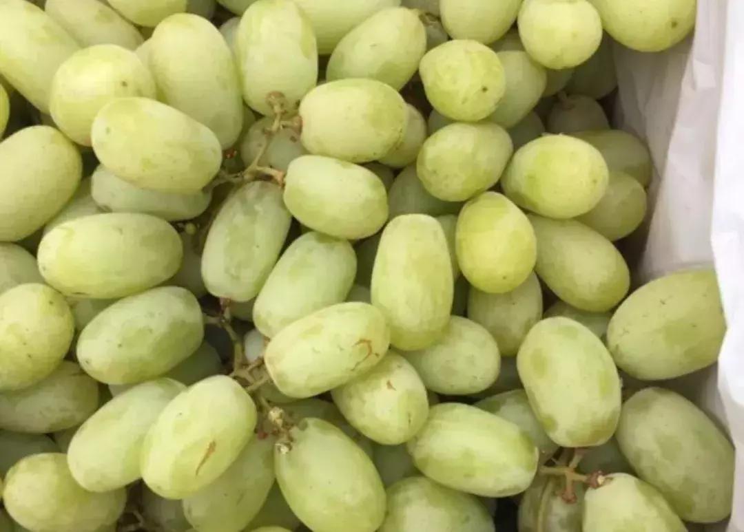 荔枝便宜批发市场,百大周谷堆水果批发市场荔枝价格