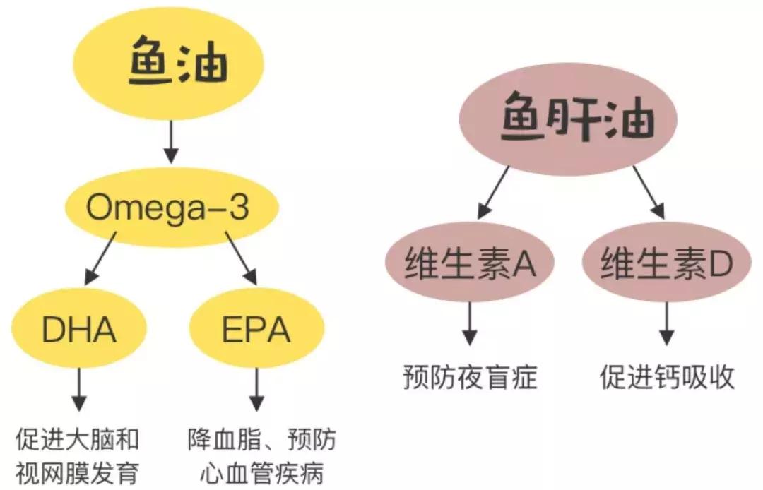 给父母买鱼油推荐,给爸妈买鱼油好吗