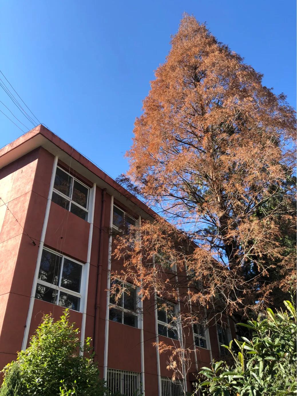 不该消失的电影,昆四中属于什么档次