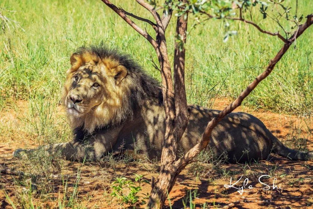 宁波旅行博主排行榜前十名,宁波旅行博主