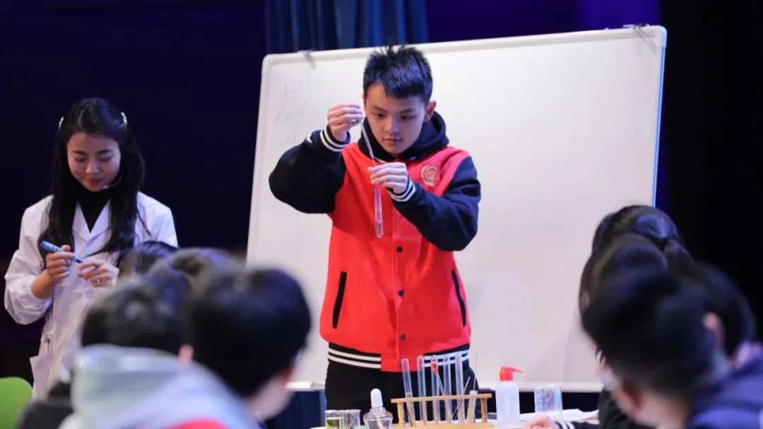 国高普高和艺高,国高普高职高