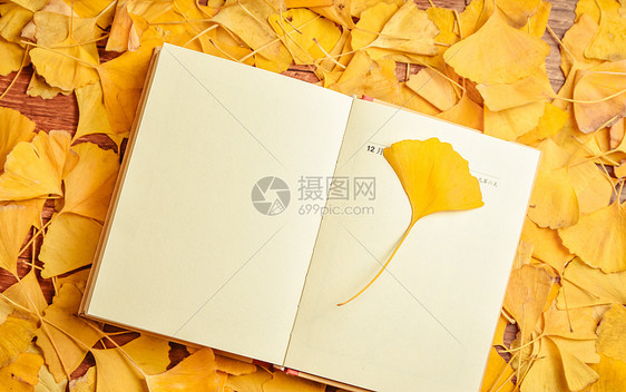 阅读遇到四维读书法，有了工具后的读书，会怎么样呢？