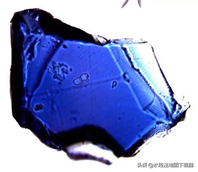 地球上这么多的水都去哪里了,地球上的植物从哪里来