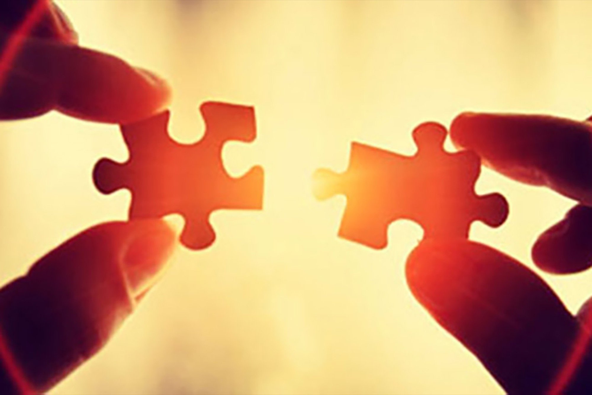 洋葱电商平台怎么样,电商洋葱的商业模式