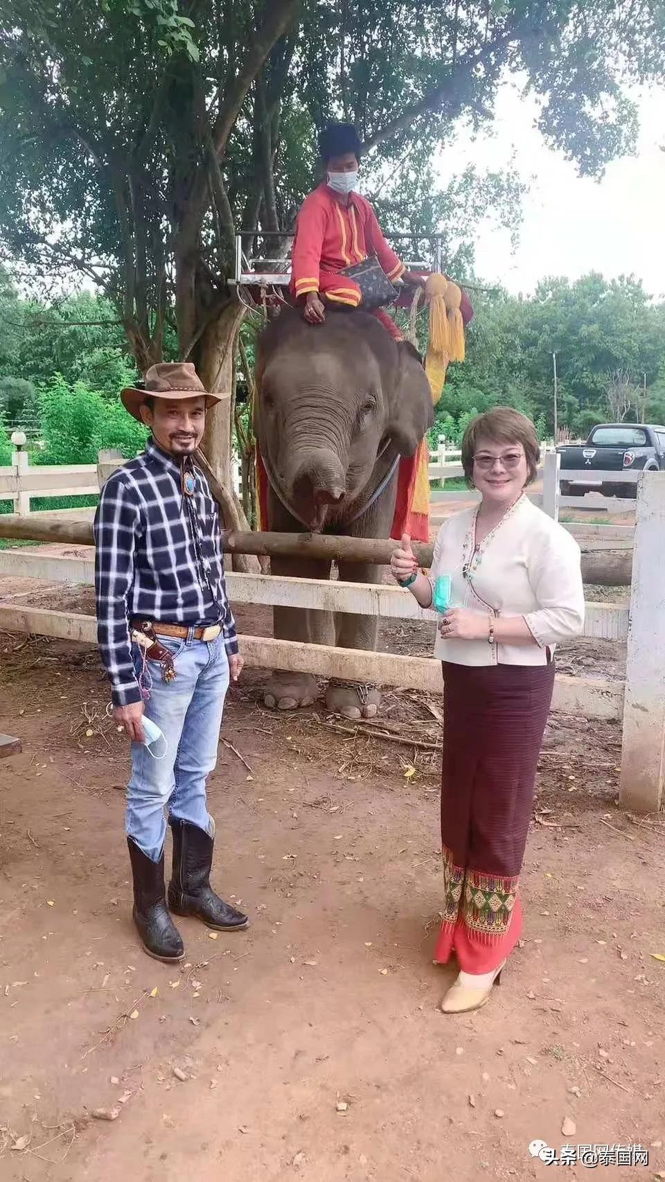 清迈现在疫情安全吗,清迈最新疫情能回国吗