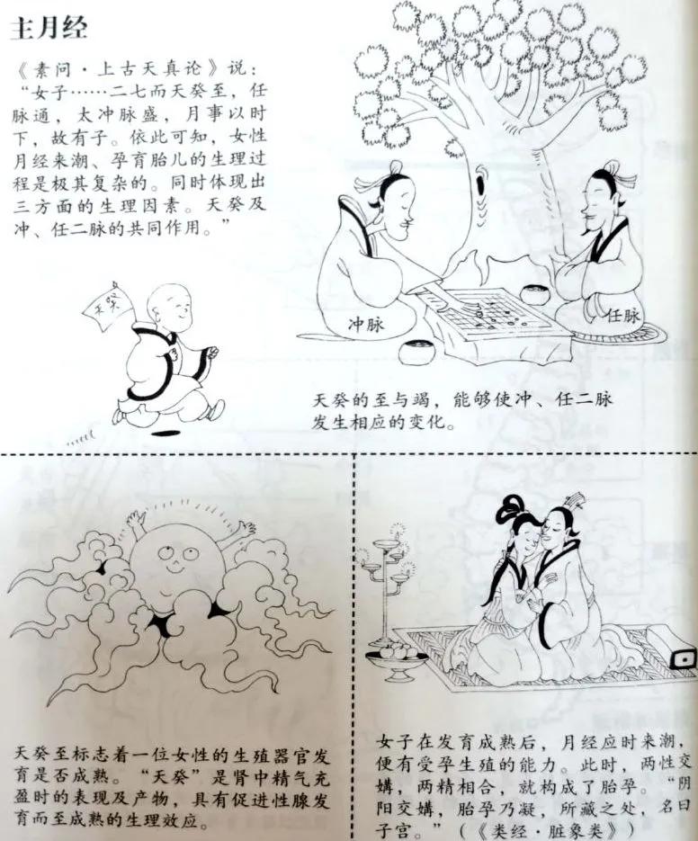 奇恒之腑的解释,奇恒之腑是指哪