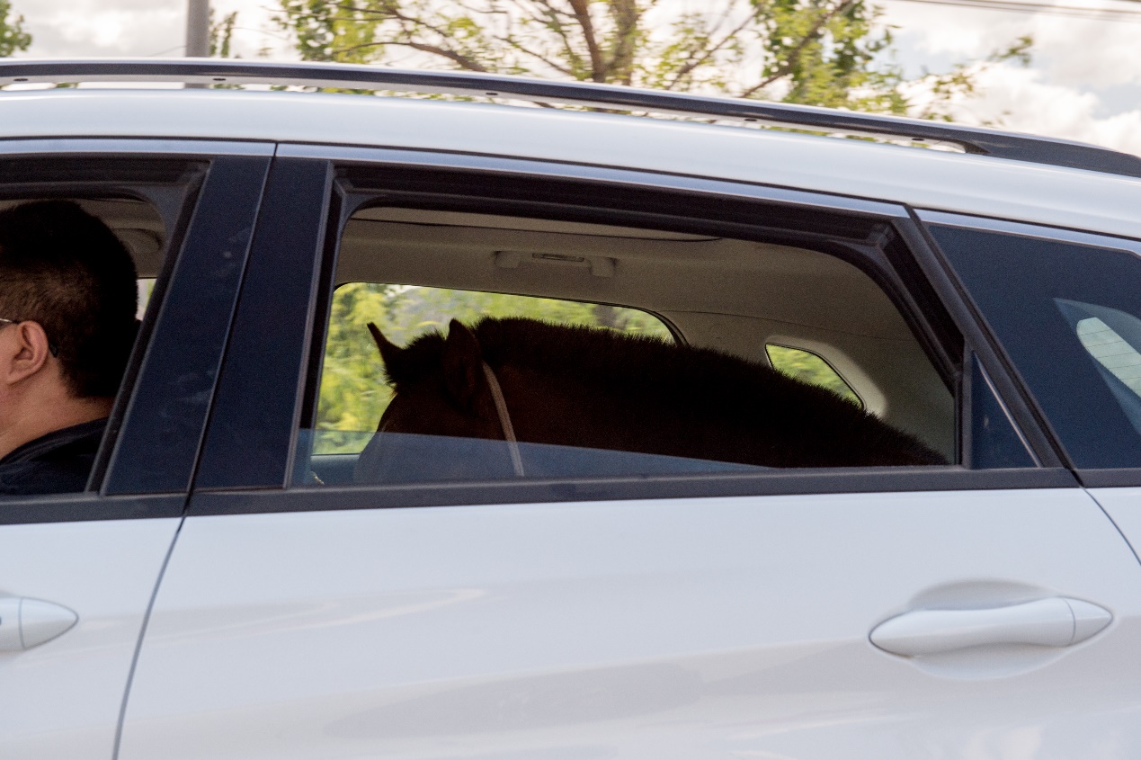 高档大气上档次宝马最强量产suv,国产宝马新suv