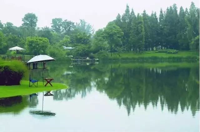 青城山环境幽静旅游的好地方,想住世外桃源