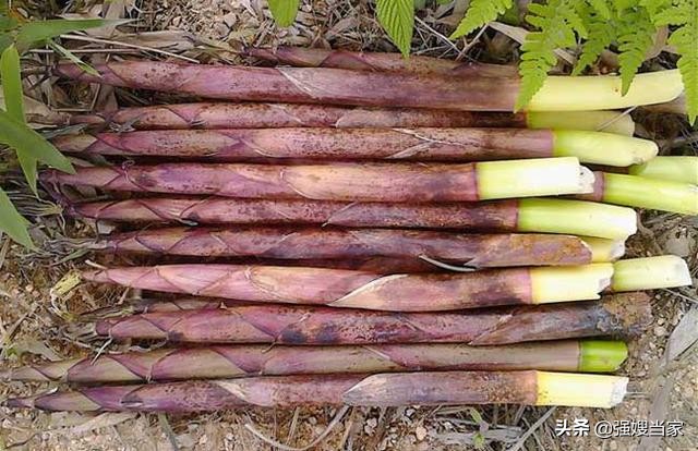 春笋怎么保存到冬天还是新鲜的,春笋短时间保存方法