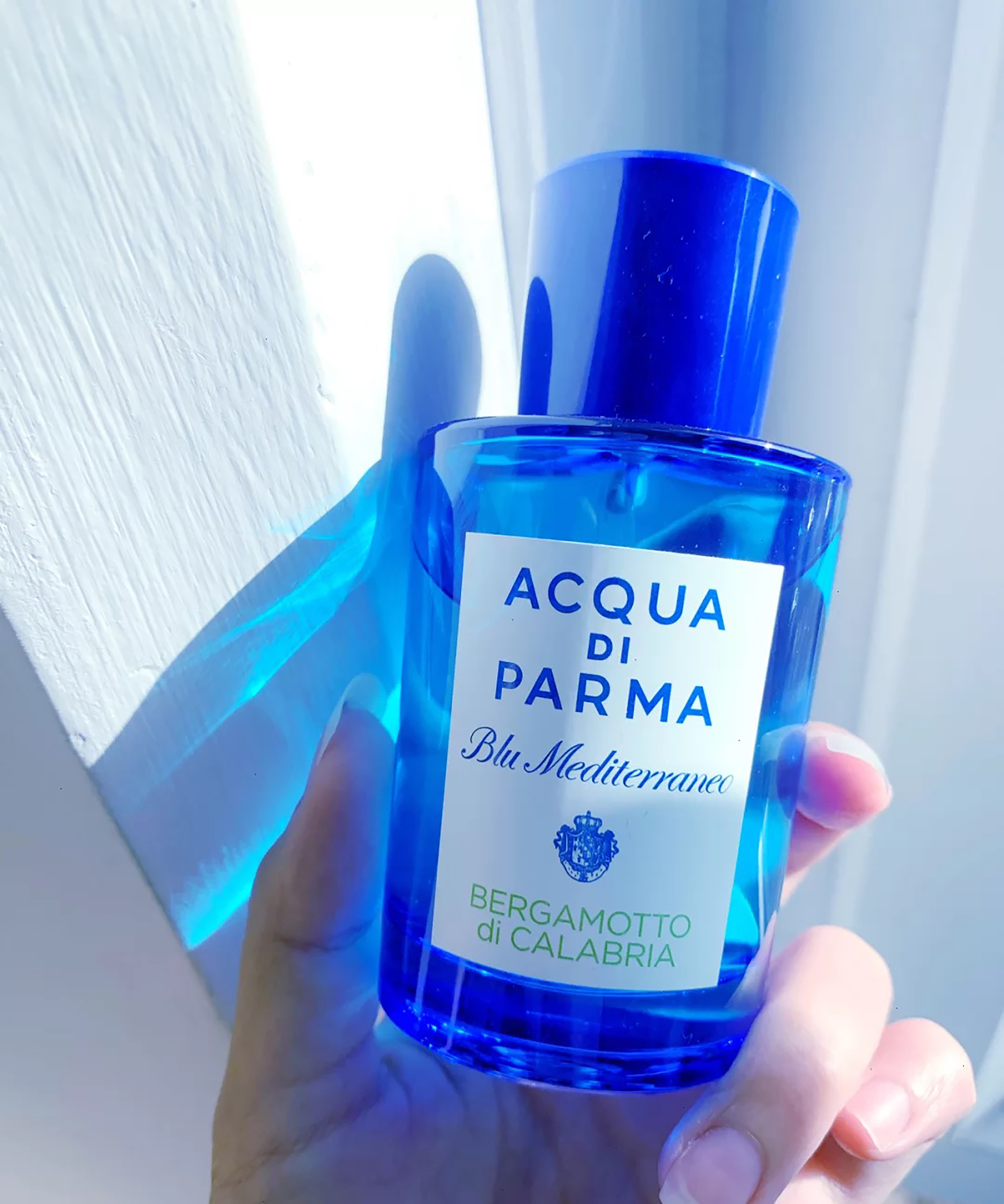 夏天什么香味好闻又持久,夏天来得很慢却又走得很快