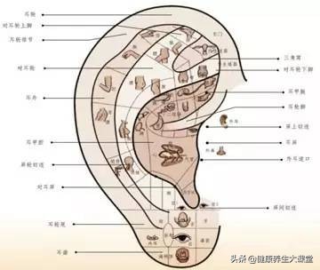 面诊鼻诊图解大全,中医舌诊面诊耳诊的好处