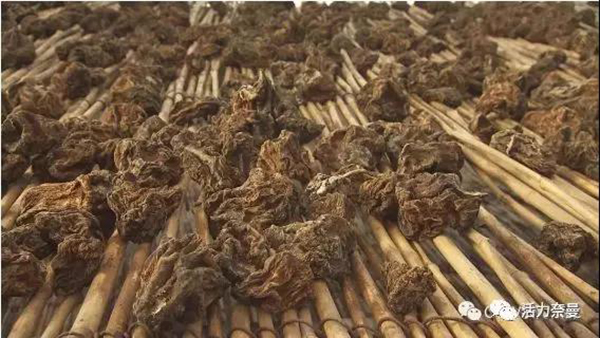 45万奈曼人的名片,太漂亮了!除了中华麦饭石你还知多少?