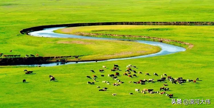 森林草原自驾游,森林亲子旅游攻略图片大全