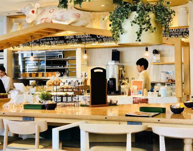 东京到镰仓和箱根攻略,东京箱根富士山镰仓