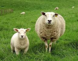 账单一出寸草不生？搜狗输入法福利商城这招，每月至少省200块