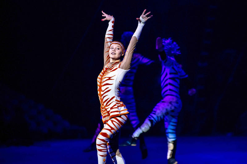 玩转广州长隆野生动物世界之行,广州长隆动物世界游玩攻略图