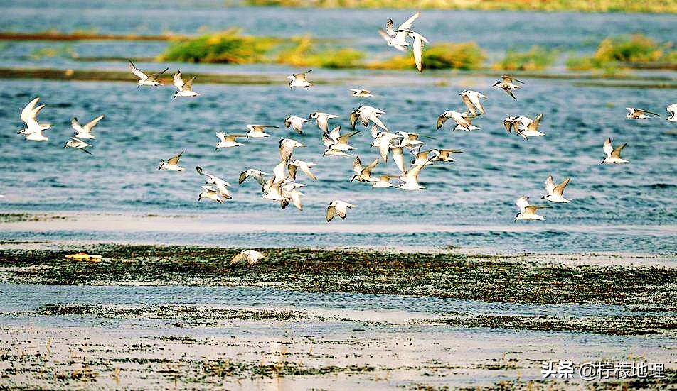 湖北荆州石首,鄂南明珠图片