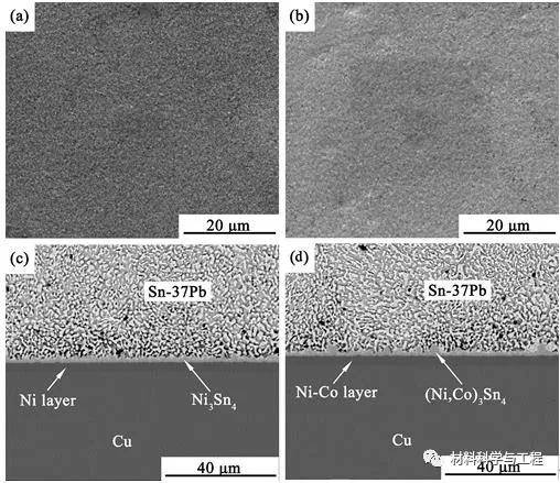 南昌大学《MSEA》：Co元素添加Ni镀层提升焊点剪切强度
