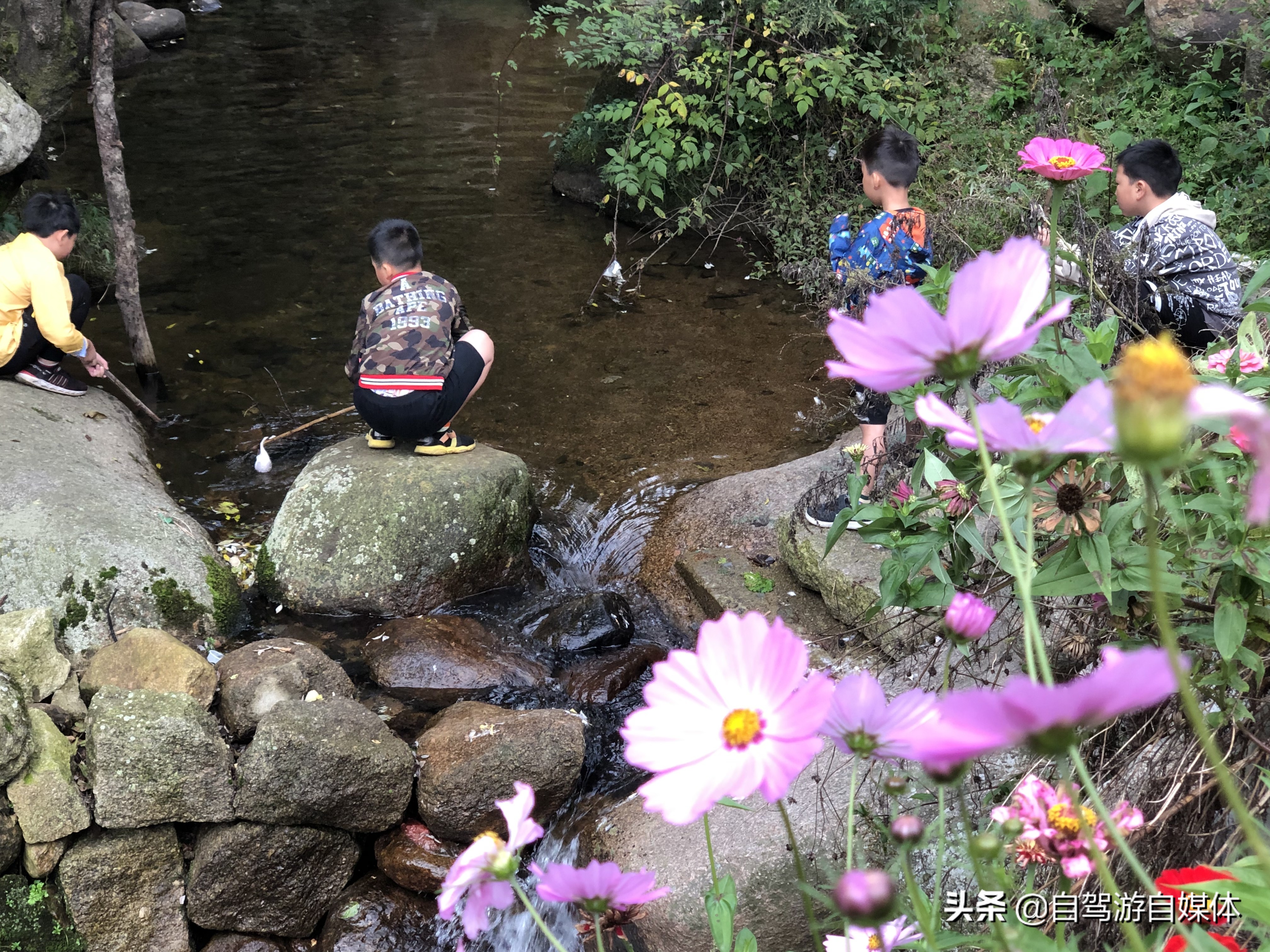 洛阳水席“真不同”,真的与众不同吗?深度体验后有话说