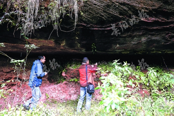 在戈壁探寻恐龙足迹,去原始森林探巡恐龙足迹