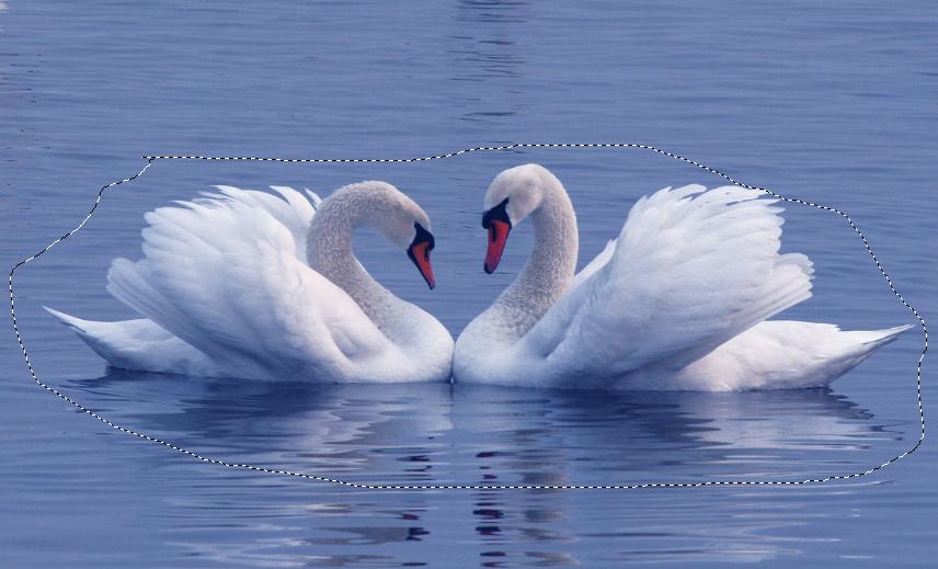 ps如何快速抠图到另一张图上,如何用Ps快速抠图