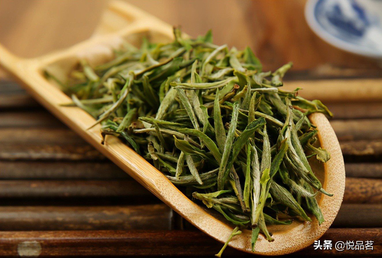 黄山毛峰如何冲泡,新茶毛峰和陈茶毛峰冲泡对比