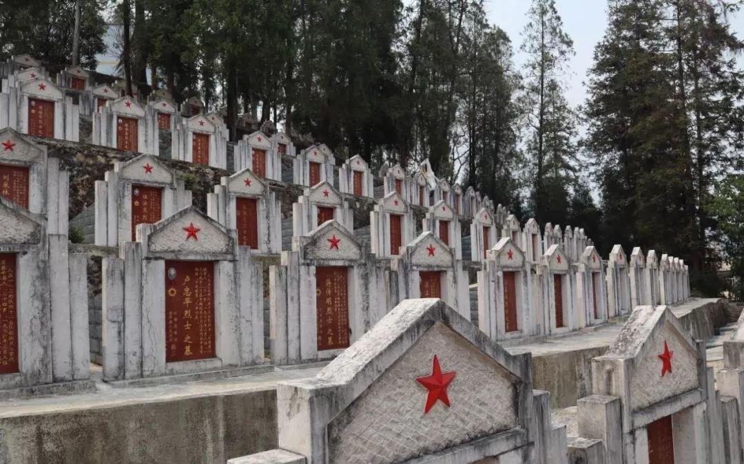 自卫反击战牺牲的烈士场景,反击战烈士牺牲视频