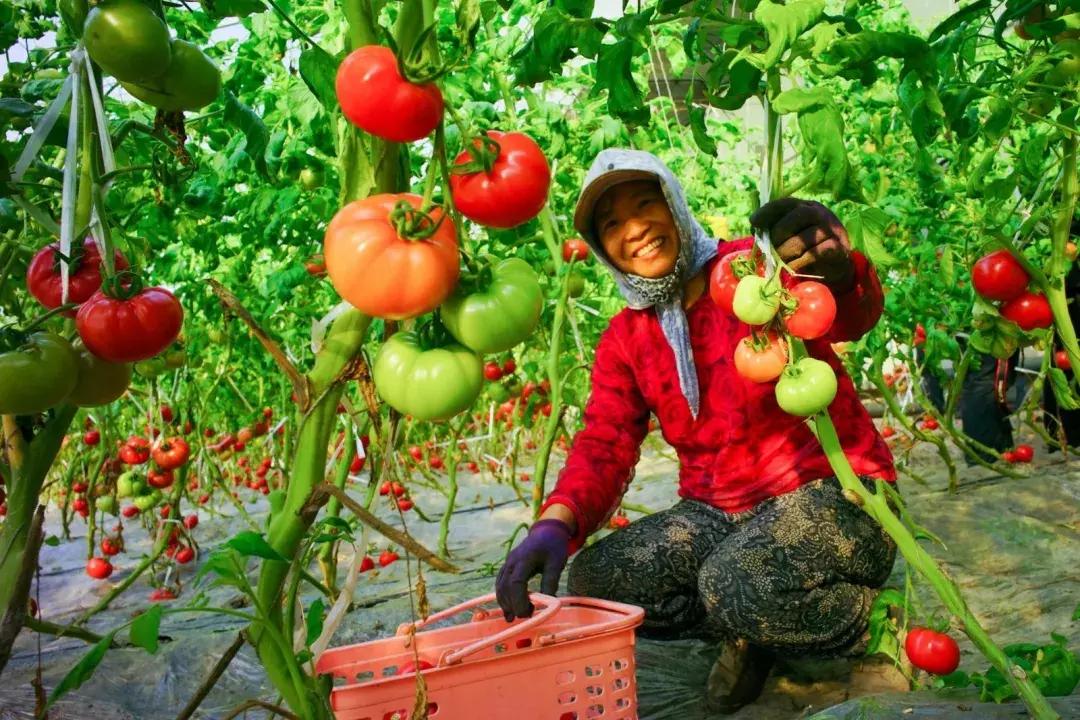 【超燃来袭】武清：70张笑脸，用稳稳的幸福，致敬可爱的祖国！