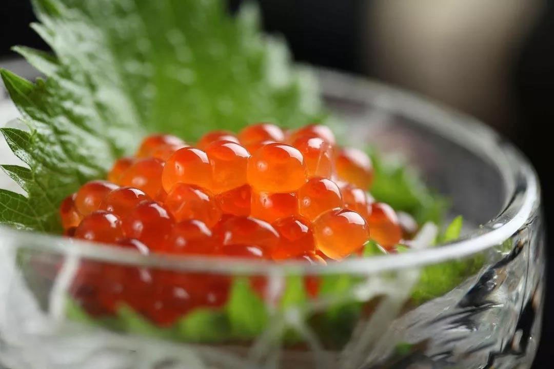 科普中国三文鱼,智利三文鱼