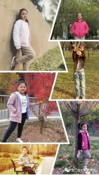 谱和谐之曲走奋进之路——延新一小五年级七班和谐团队申报专题