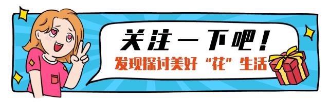 逛日本花店,带你逛日本花店