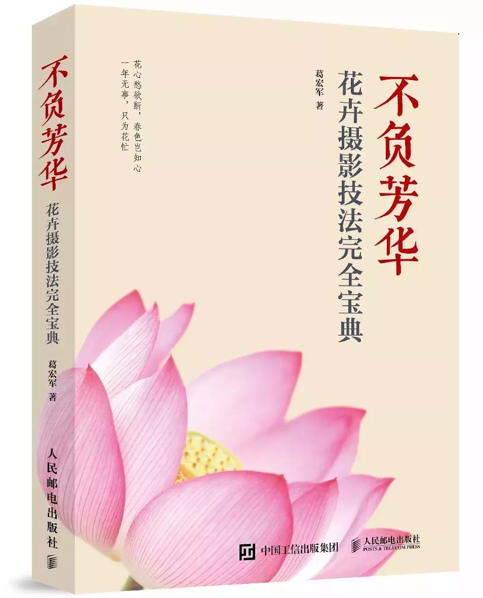 拍摄花卉视频如何构图好看,美术简单花卉图画构图简单