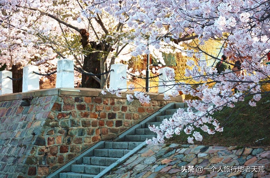 厦门海滨老城旅游,厦门最美海滨城