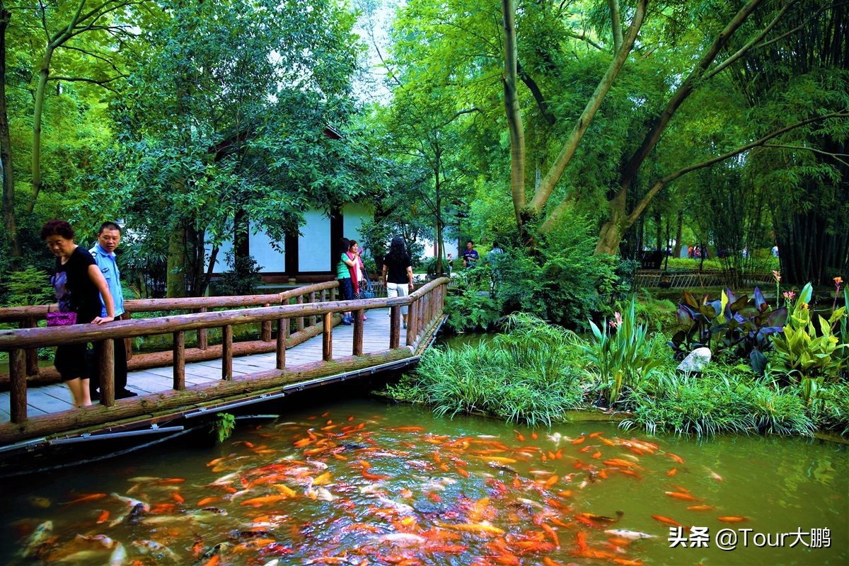 成都天府二街美食,成都天府夜间美食攻略