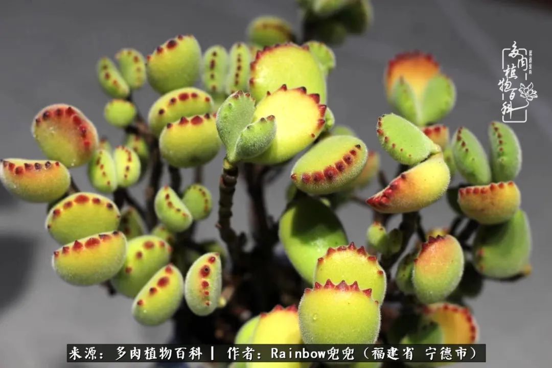 岁月无波澜余生不悲欢是啥意思,愿你岁月无波澜敬我余生无悲欢