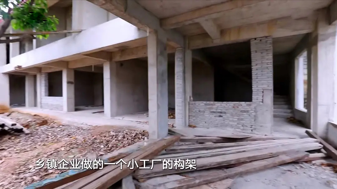 5位单身阿姨，抱团买房养老，520平189W装成山间别墅