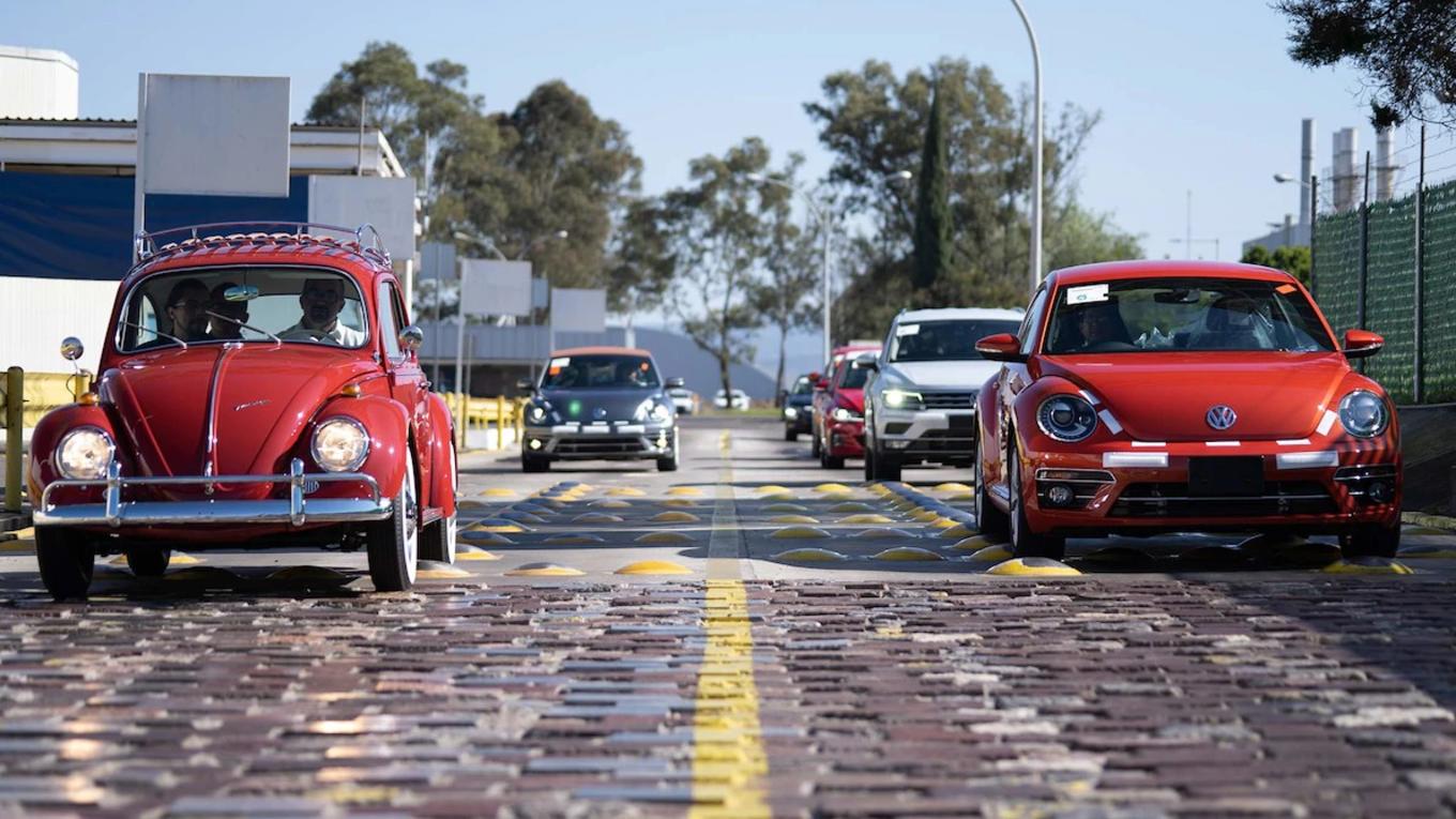 甲壳虫安妮视频,甲壳虫安妮后续