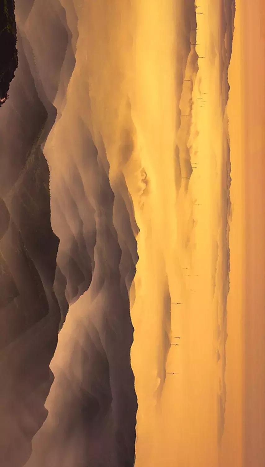 来迟了古诗词,来迟了原版