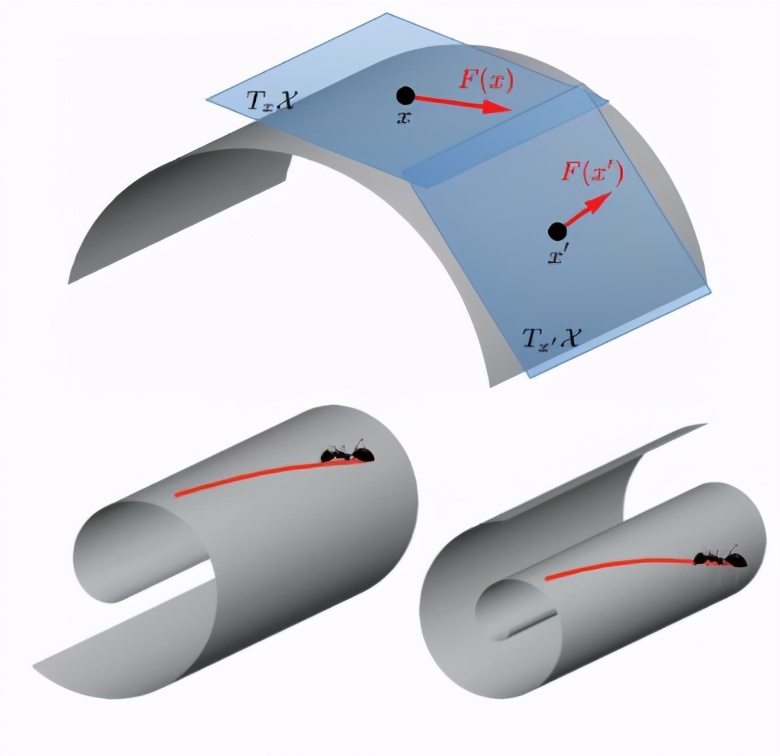 科学家说真实的6维空间,4维空间被数学家证明真实存在