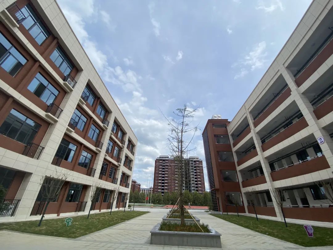 新蒲新区新舟中心学校,新蒲新区有哪些小学学校